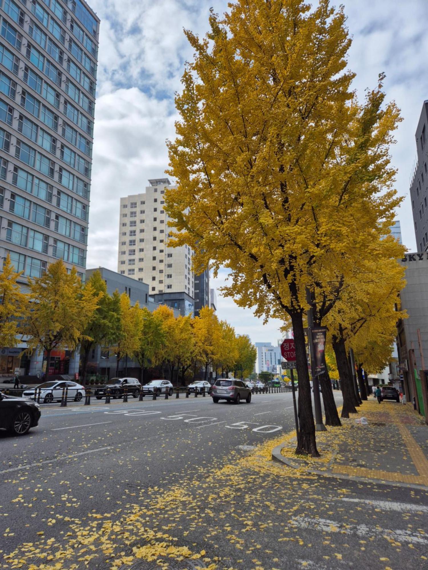 Let'S Stay ソウル特別市 エクステリア 写真